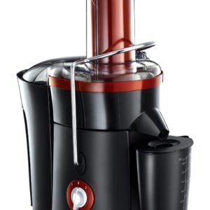 Liquadora RUSSELL HOBBS DESIRE