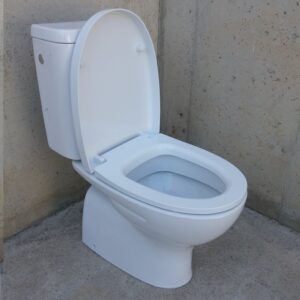 Taza wc GALA de ocasión en cabauoportunitats.com