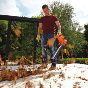 Aspirador - Bufador - Trinxador BLACK&DECKER nou a cabauoportunitats.com