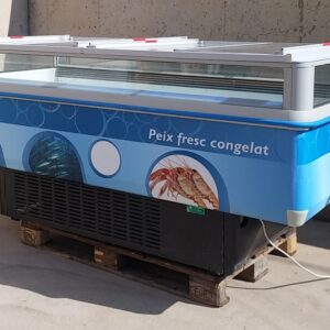 Congelador tienda con puertas de cristal 200x105x100cm en cabauoportunitats.com