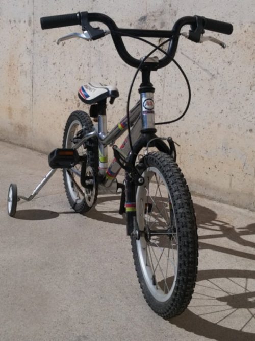 Bicicleta intantil MONTY de ocasión en cabauoportunitats.com