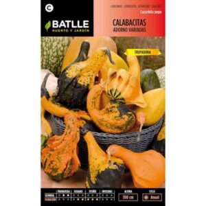 Ocasión! Semillas BATLLE calabaza decorativa en cabauoportunitats.com Balaguer - Lleida - Catalunya