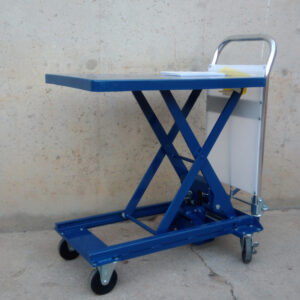 Carro amb plataforma elevadora 77x45cm d'ocasió a cabauoportunitats.com Balaguer - Lleida - Catalunya