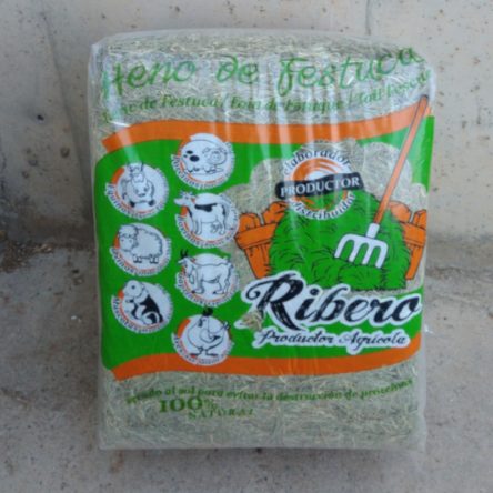 Heno de festuca de ocasión en cabauoportunitats.com