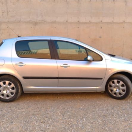 Peugeot 307 de segunda mano en cabauoportuniats.com