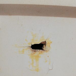 Armario de fermentación de segunda mano con persiana en venta en cabauoportunitats.com