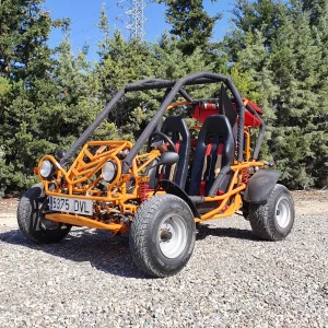 Buggie LEDOW XL 250 de segona mà en venda a cabauoportunitats.com