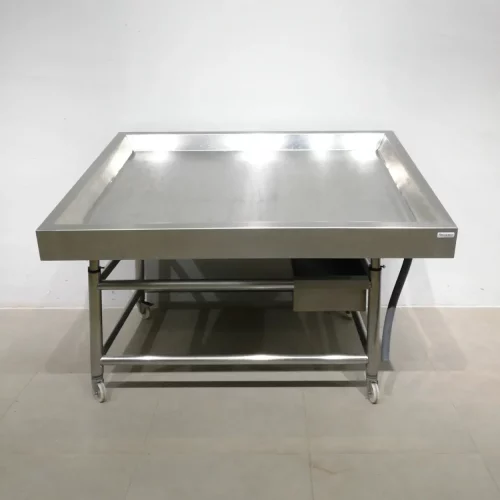 Mostrador para pescatería de seguna mano en venta en cabauoportunitats.com