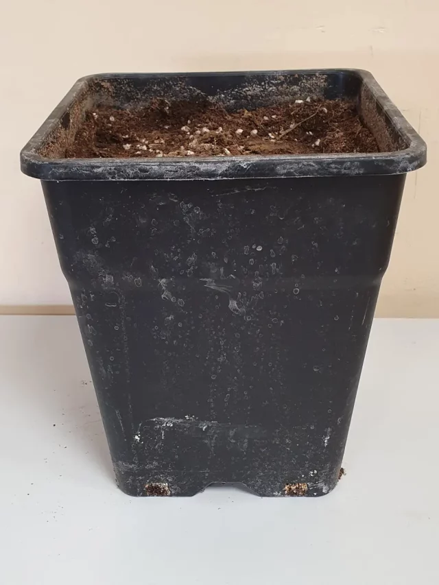 Test negre de segona mà en venda a cabauoportunitats.com