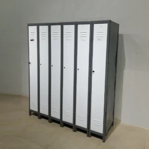 Mòdul de 6 taquilles fetes de xapa d'acer de gran qualitat i resistència en venda a cabauoportunitats.com