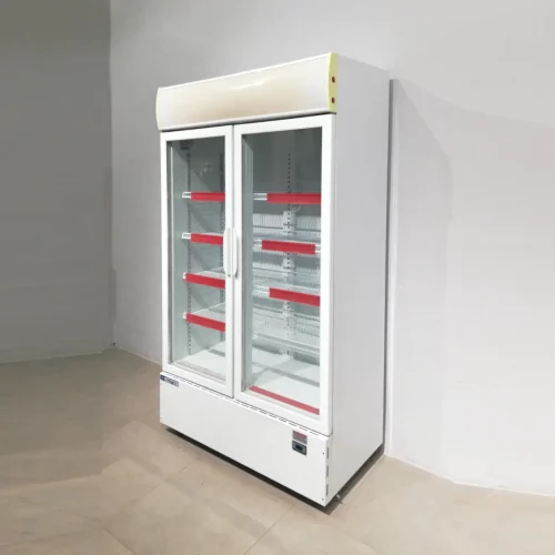 Nevera expositora CODYGAS ARTIC TF 800 2P amb 2 portes de vidre (112x56x187) de segona mà en venda a cabauoportunitats.com