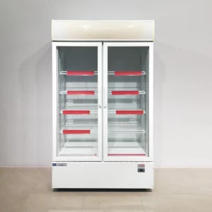 Nevera expositora CODYGAS ARTIC TF 800 2P amb 2 portes de vidre (112x56x187) de segona mà en venda a cabauoportunitats.com