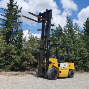 Carretó elevador TCM FD250 de segona mà, 2.500kg de capacitat i masteler doble en venda a cabauoportunitats.com