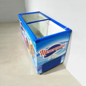 Congelador FRIZZIA F400TV (103x67x92cm) de ocasión perfecto para tienda, bar, heladería...