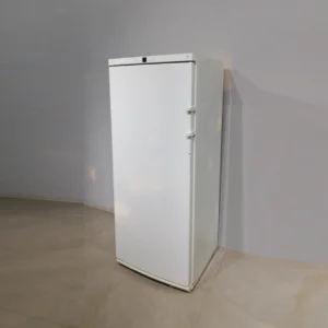 Congelador LIEBHERR GNP-2976 perfecte tant per a ús domèstic com professional